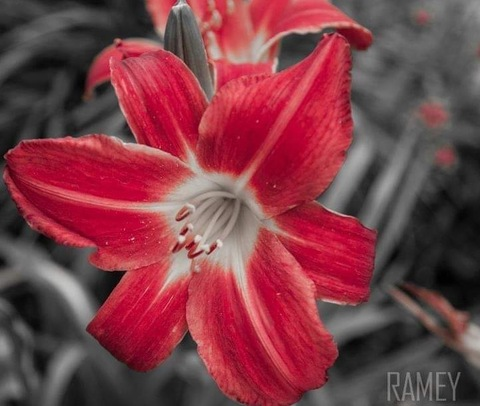 naughtynikki28 header picture leakfans.com