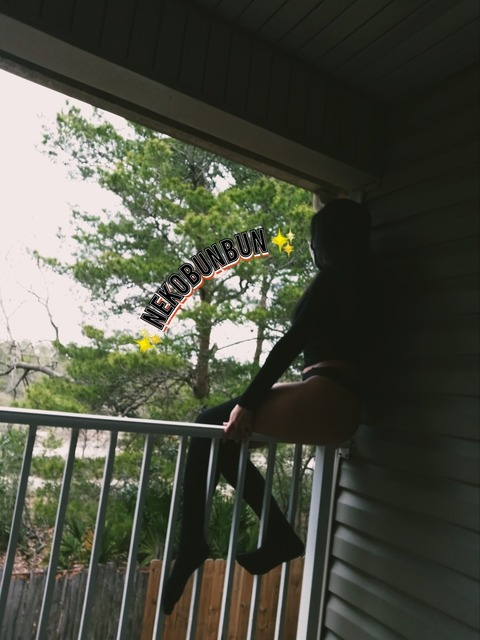 nekobunbun2 header picture leakfans.com