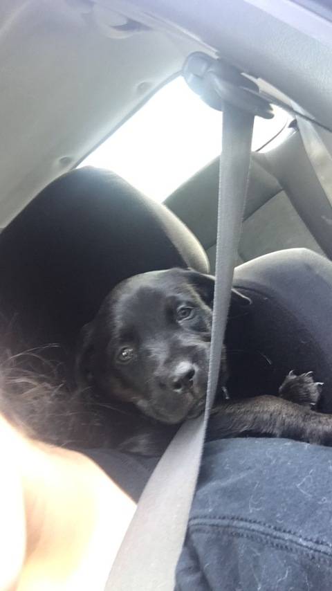 nemo_1245 header picture leakfans.com