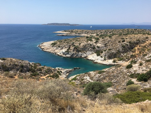 neptune704 header picture leakfans.com