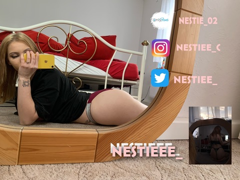 Header of nestie_02