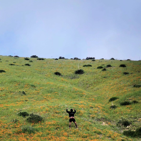 niacbas header picture leakfans.com