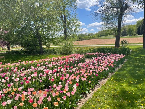 nicholel header picture leakfans.com