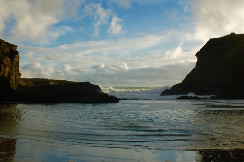 nicole865 header picture leakfans.com