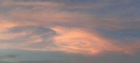 niederle header picture leakfans.com