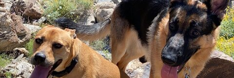 nikkkki_so_fine header picture leakfans.com