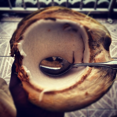 nineinchfigure header picture leakfans.com