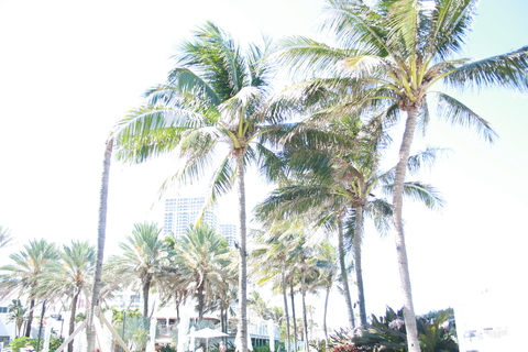 nlawsunxo header picture leakfans.com