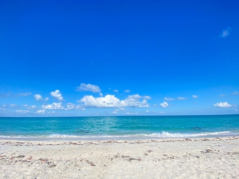 nnniiikkkaaay header picture leakfans.com