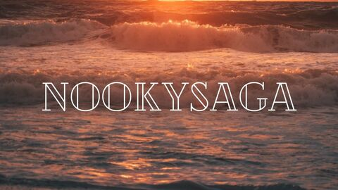 Header of nookysaga