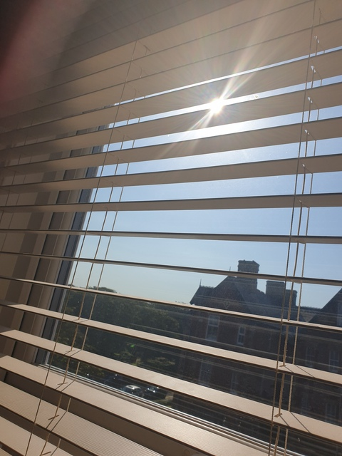 norris header picture leakfans.com