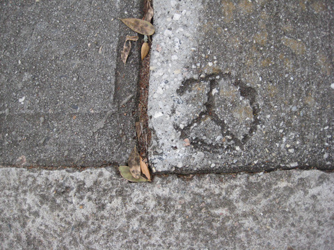 notyoursomeone header picture leakfans.com