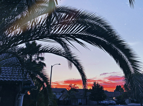 nuttingaround header picture leakfans.com