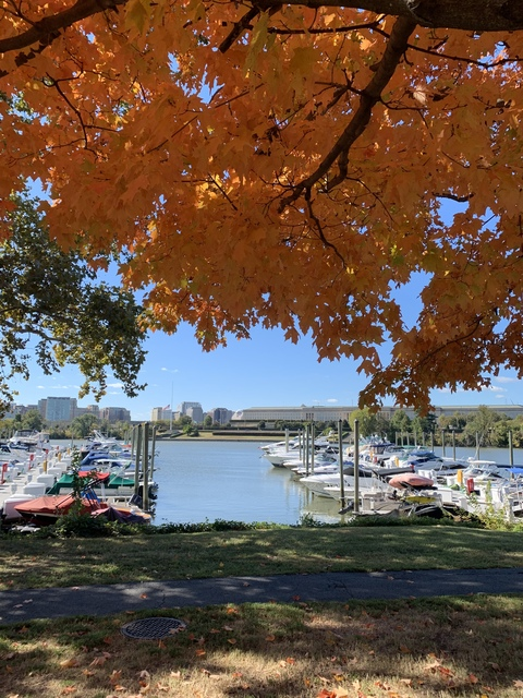 nytodc header picture leakfans.com