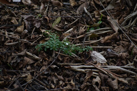 nyxhardt header picture leakfans.com