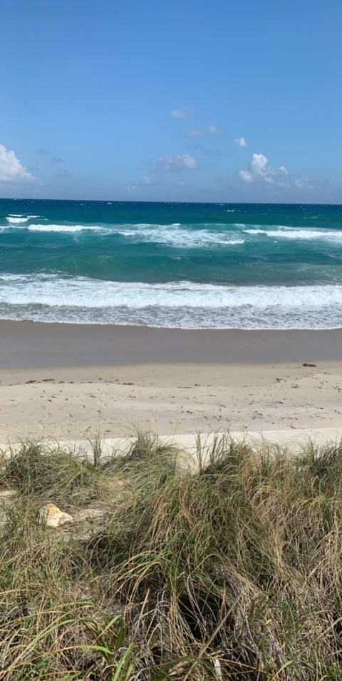 oceaneyez header picture leakfans.com