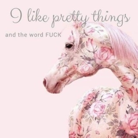 octo_princess23 header picture leakfans.com