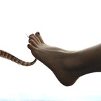 octopustkstudio profile picture leakfans.com