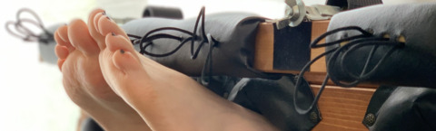 octopustkstudio header picture leakfans.com