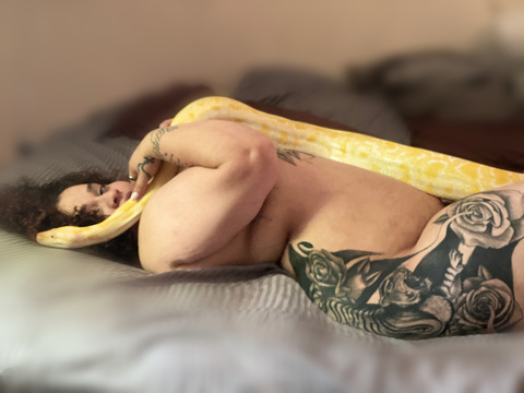 officiallylamedusa header picture leakfans.com