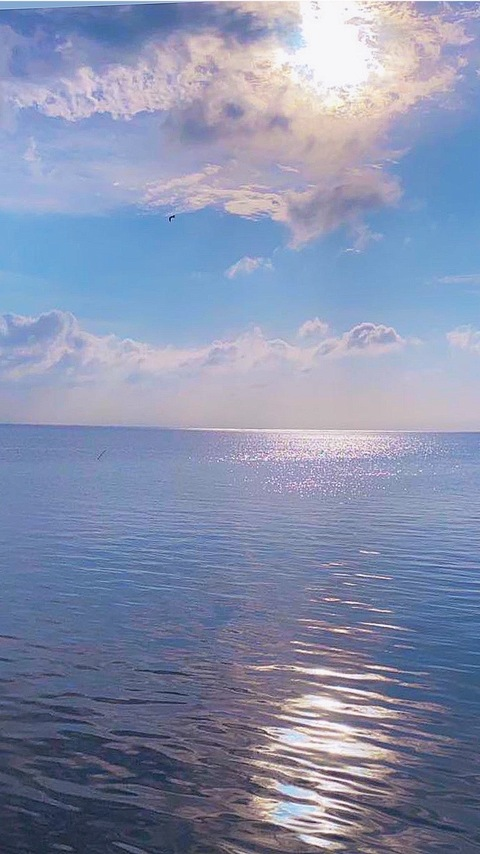 officialoli_22 header picture leakfans.com