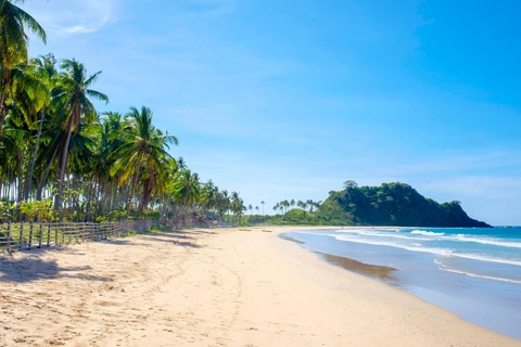 ofjennataylor header picture leakfans.com