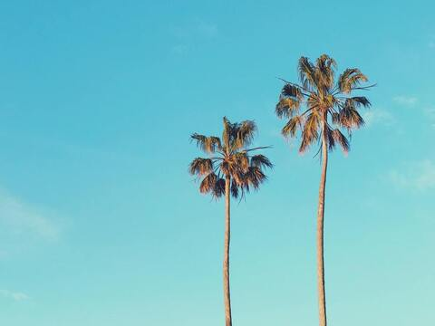 oftwink97 header picture leakfans.com