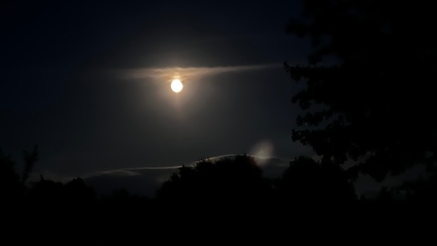 ohbiscuits90 header picture leakfans.com