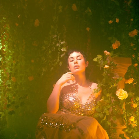 oliveglass header picture leakfans.com