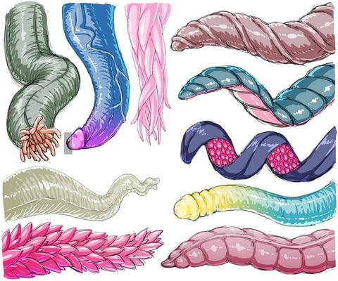 ollie.debauchery header picture leakfans.com