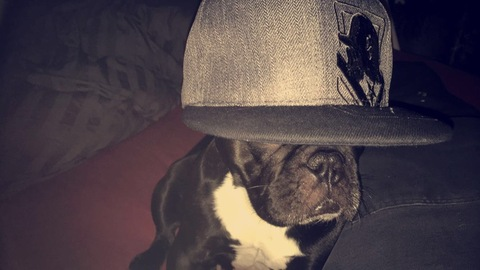 olsern header picture leakfans.com