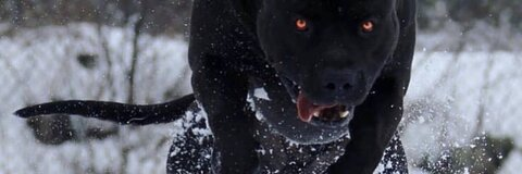 olympiancxm header picture leakfans.com