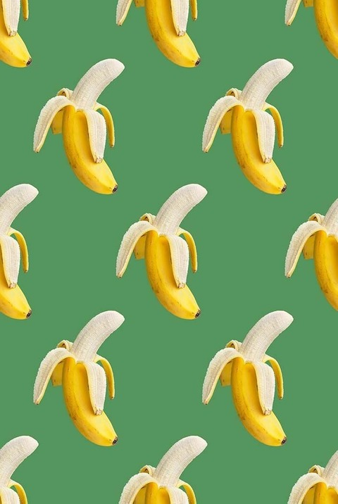 onlilly header picture leakfans.com