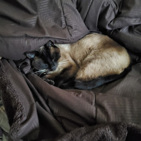 onlyny4n header picture leakfans.com