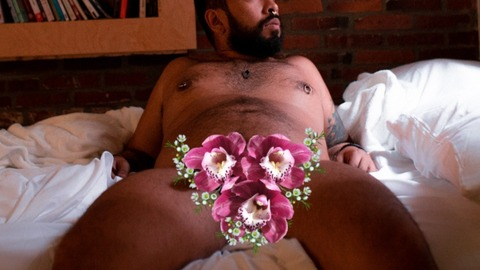 orchid_papi header picture leakfans.com