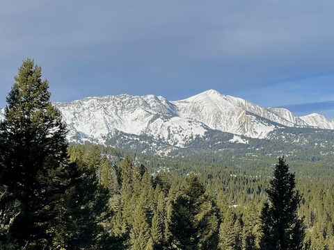 ordinaryguy3 header picture leakfans.com