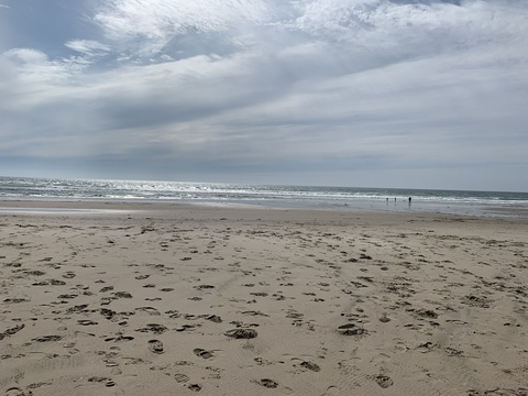 oregongay88 header picture leakfans.com