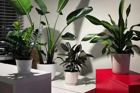 otterpatch header picture leakfans.com