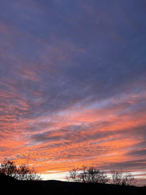 p3mi21 header picture leakfans.com