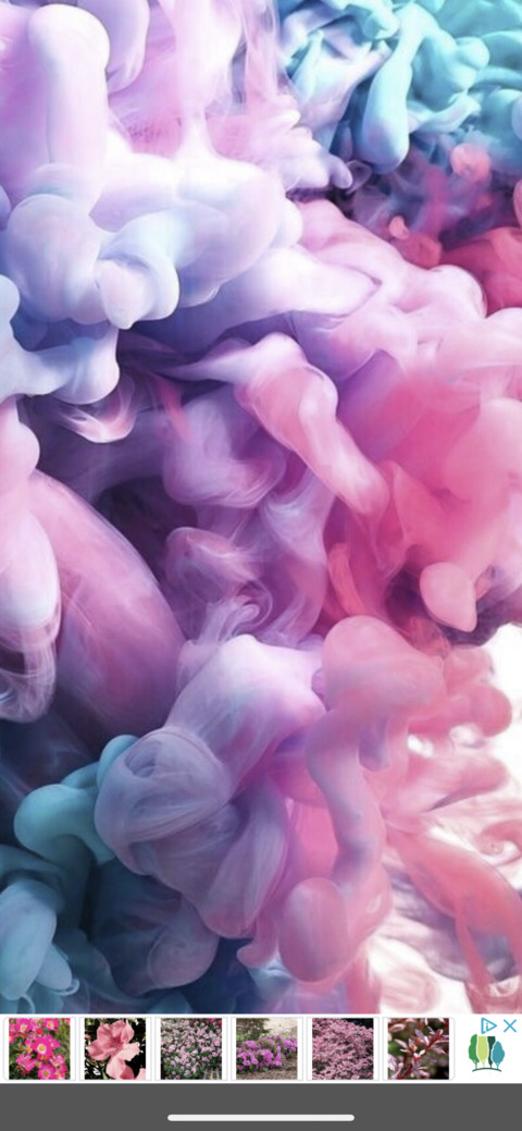 paigeloveee header picture leakfans.com