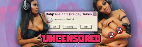 Header of paigeycakes