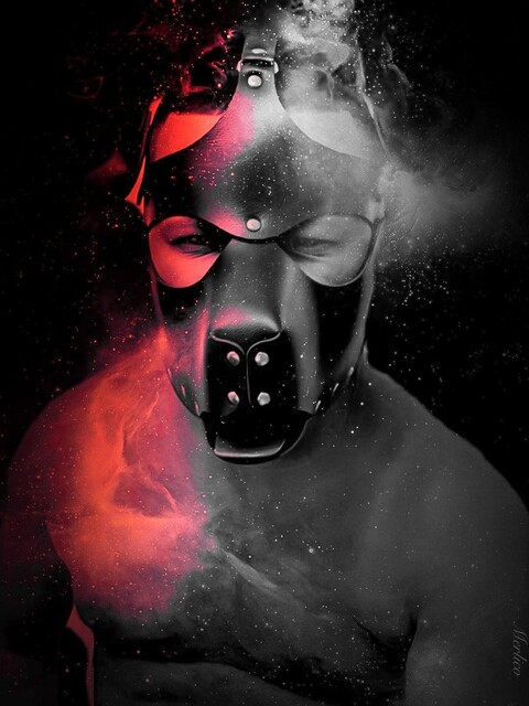 paizaoatvsp header picture leakfans.com