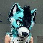 palacewolf profile picture