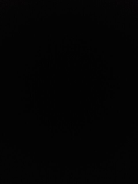 palomares header picture leakfans.com