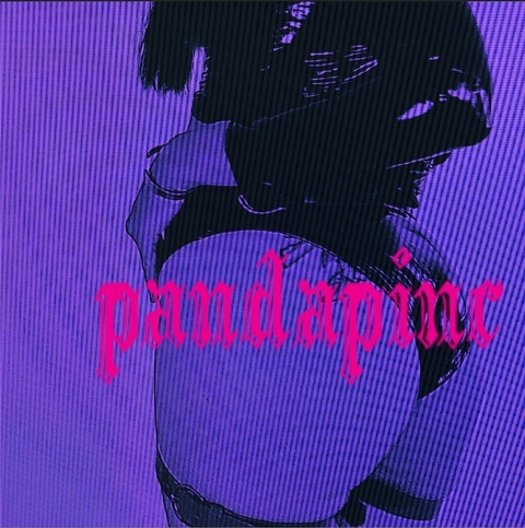 panda_pinc header picture leakfans.com
