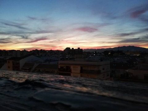 pandana header picture leakfans.com