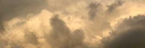 panickingxmanic header picture leakfans.com