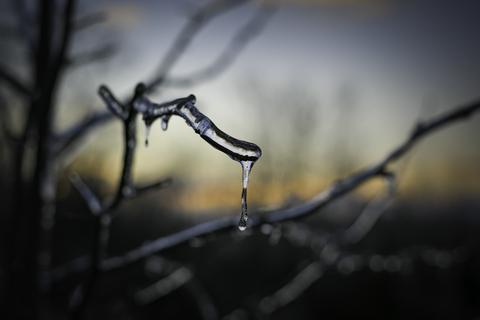 panienago header picture leakfans.com