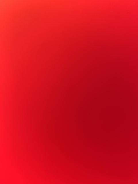 papigucci7 header picture leakfans.com