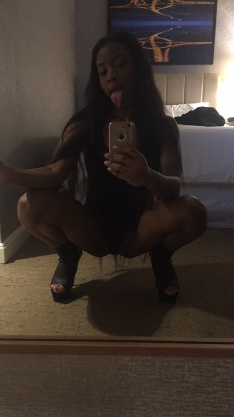 paradisecandy header picture leakfans.com